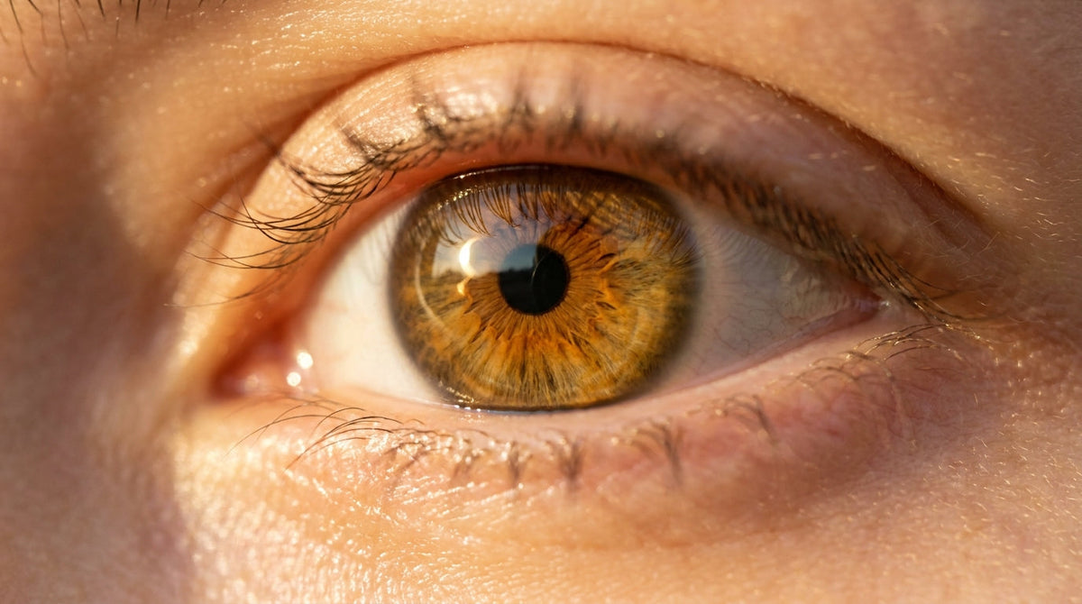Alpha Lipoic Acid for Eye Health: How ALA Protects Your Vision