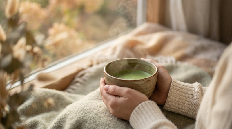 Hands cradling warm matcha tea with soft afternoon light creating peaceful mood