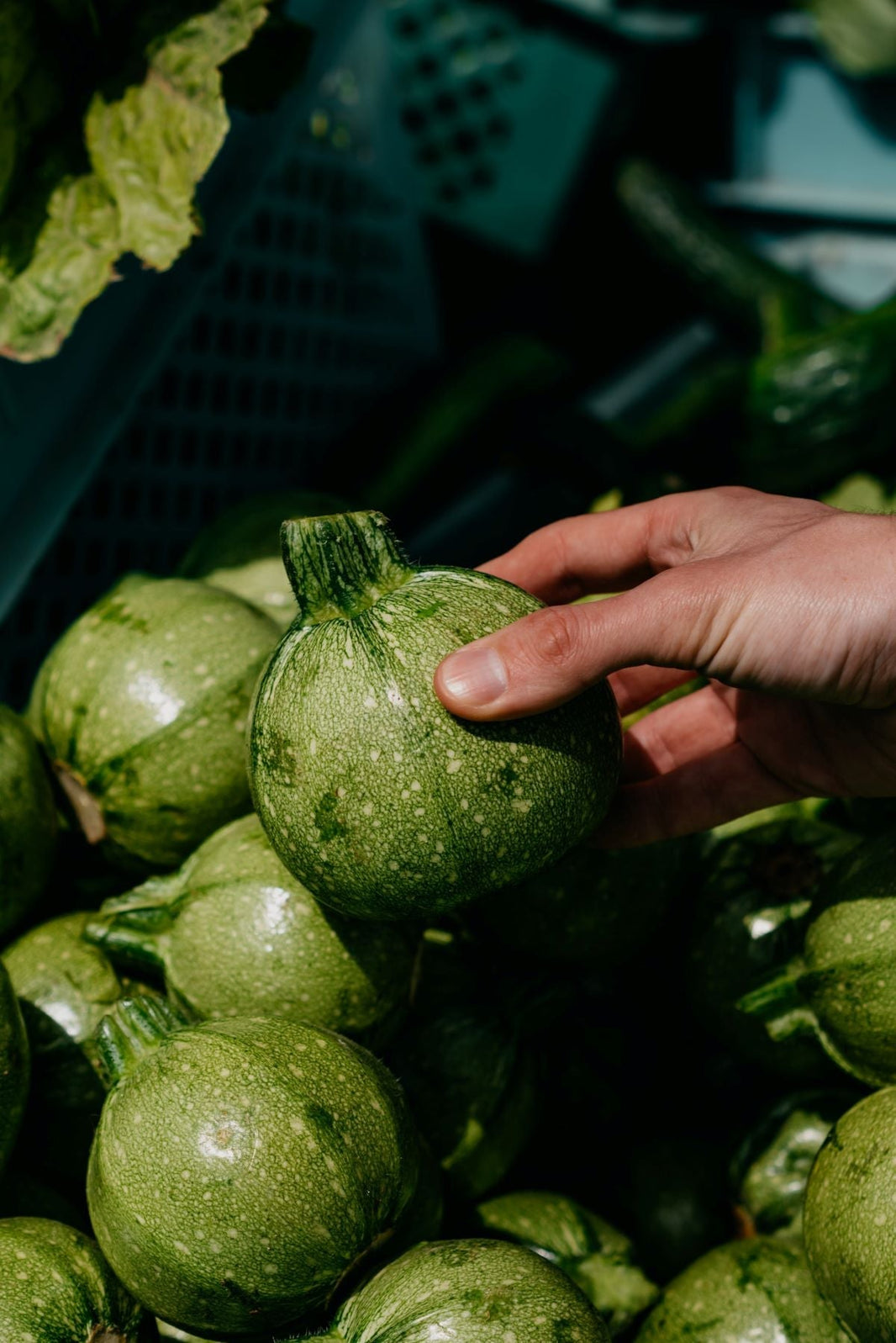 High Potassium Supplement Gummies For Kids and Adults