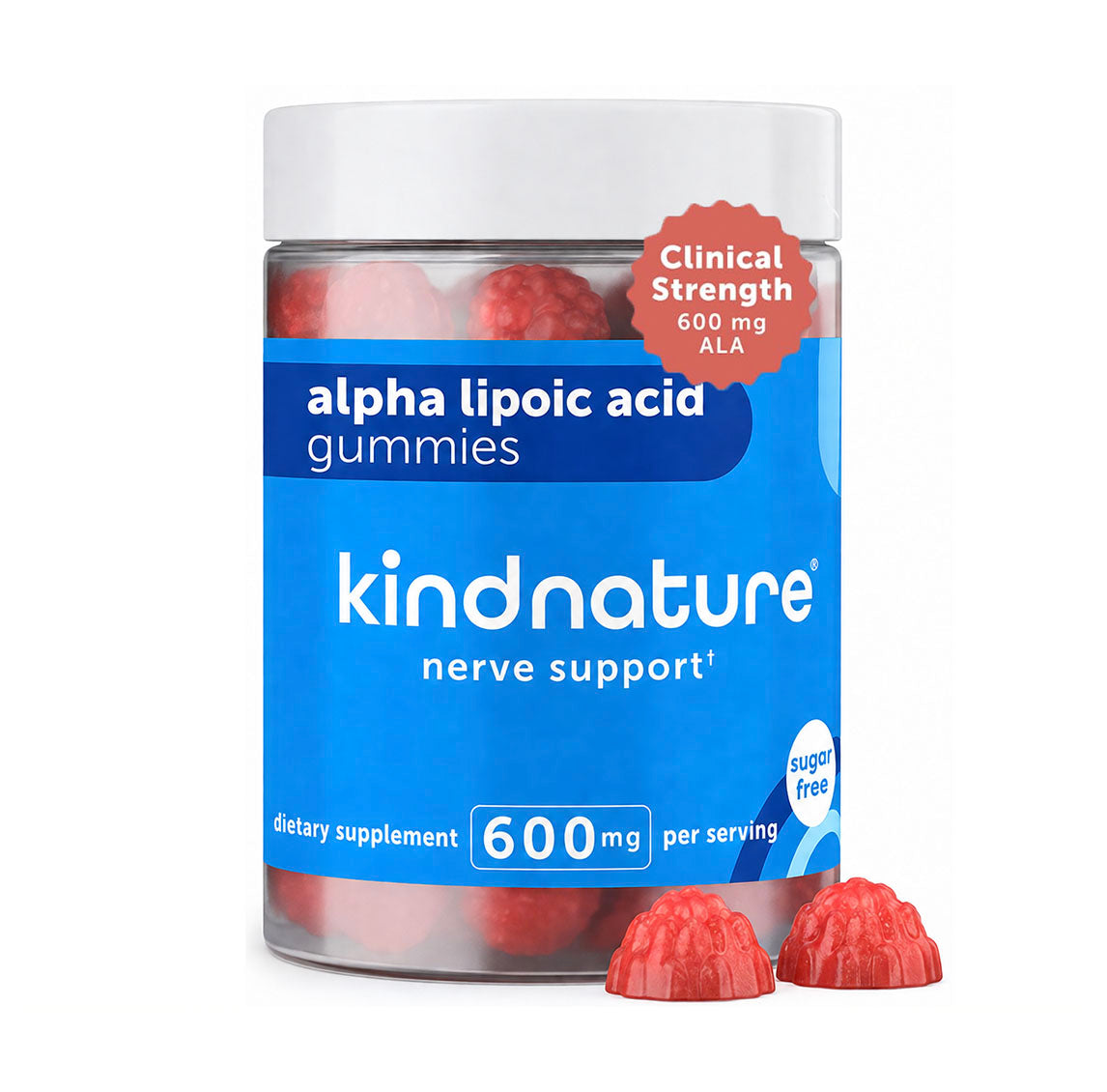 Alpha Lipoic Acid Gummies - Sugar-Free 600 mg R-ALA Supplement for Antioxidant & Nervous System Support